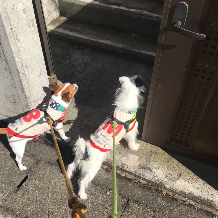 33390d57 791b 4ab9 859a f2029c0bdf5c 1538352736109