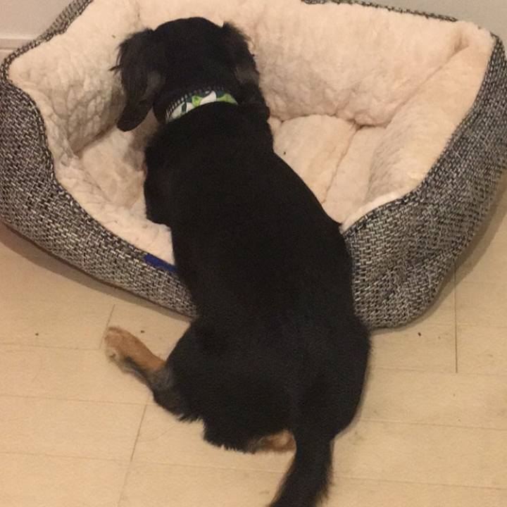 33392479 99c6 44d7 9ea4 e8cbe1d80c76 1514236997364