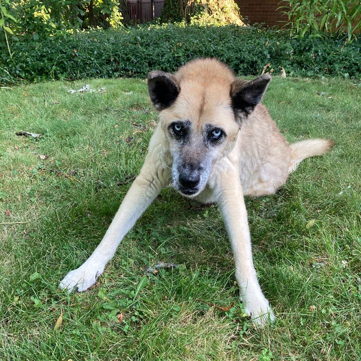 33393aa2 5620 4bef b7c6 74d746436c8a 1595805496836