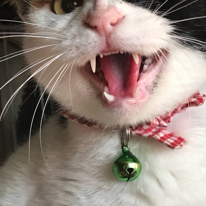 3339498c b3e0 4ce7 aae2 f0b1bc2b33cb 1512981690368