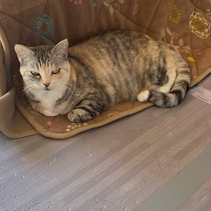 33397772 e8d8 4bf1 976f 611ea13725d8 1644205900023