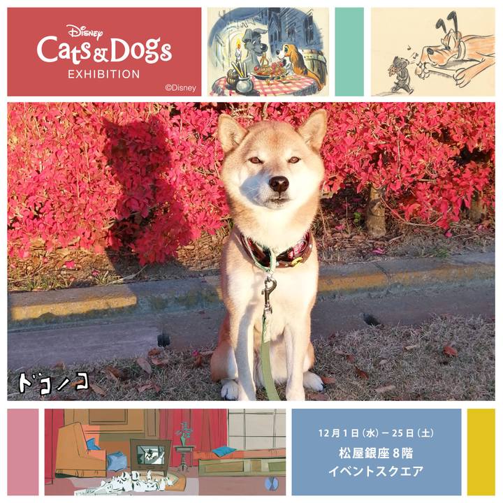 33397b76 5ac3 4eba 81f7 24237eb460ed 1638433991688