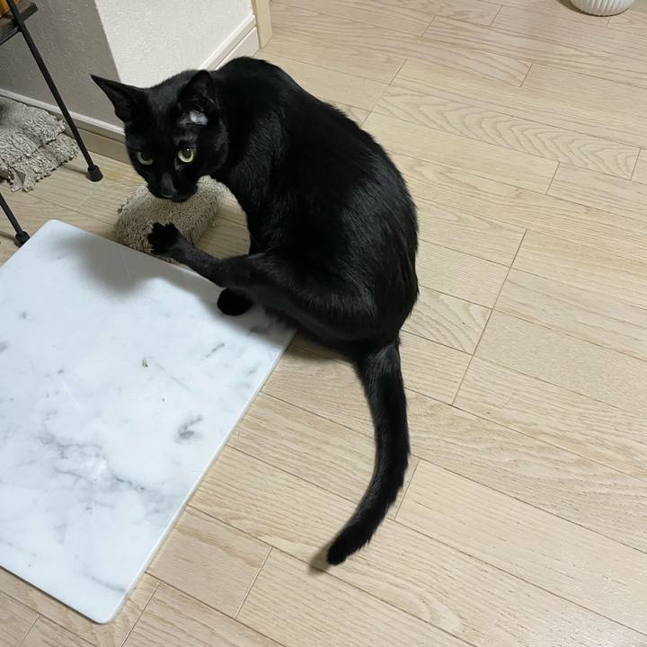 33398af0 9fdc 49b7 bedd 3da43f058065 1659962724033