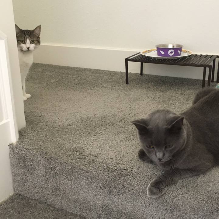 3339c943 c4a4 4893 a58a 593d5dd89291 1662858776636