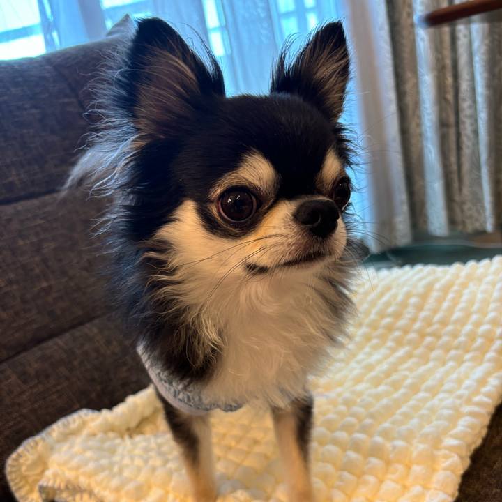 3339cb44 009c 4618 a032 9b8b73a8faa0 1724513807244