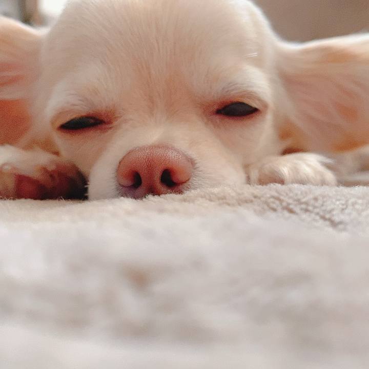 3339cb5d 4f0a 4c21 b8f5 7707fff066b6 1618987948556