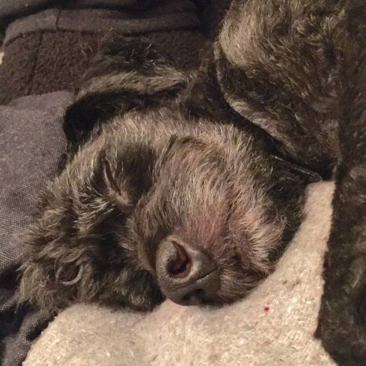 3339d235 1883 4fe3 b3a1 77d48cc2374b 1535294382303