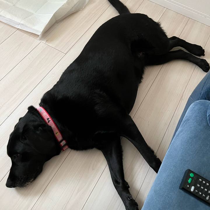 333a162c 7a60 4e02 9954 195a16a7b524 1713087689819