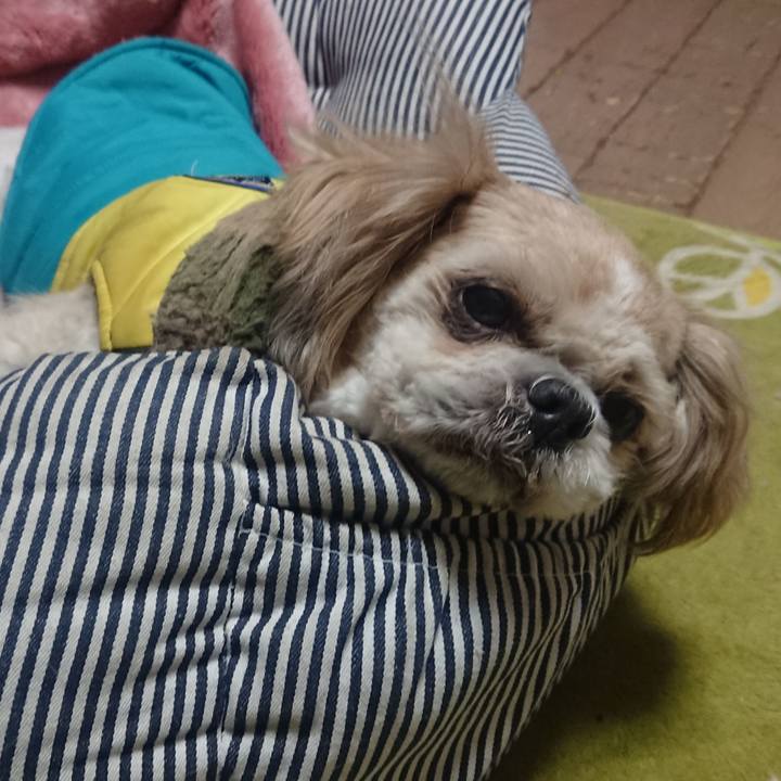 333a16ce b885 4246 9261 3c10f4c0afd6 1518529923950