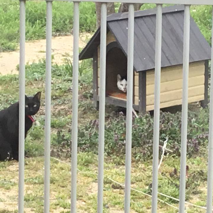 333a5856 85da 43fa b36f f52fc4377c99 1521348864912