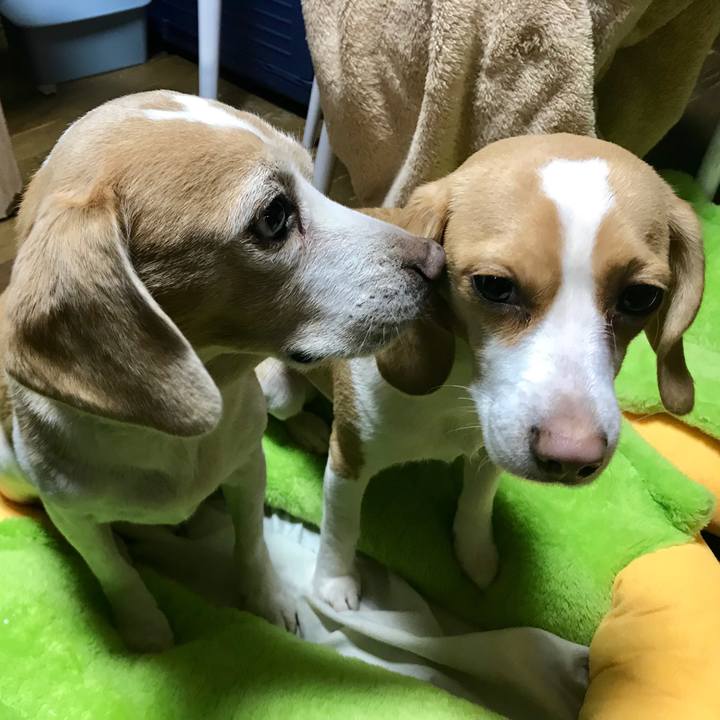 333aa78d 1cb6 4785 8b89 5a6cf8cc81db 1516789867508