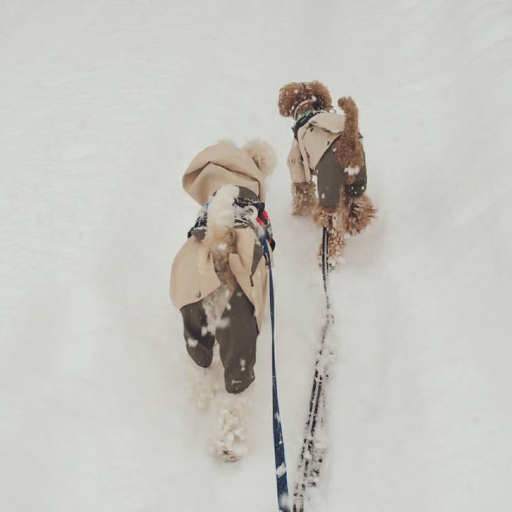 333b2cc8 ed6e 4427 9978 f79532c614a7 1516935248667