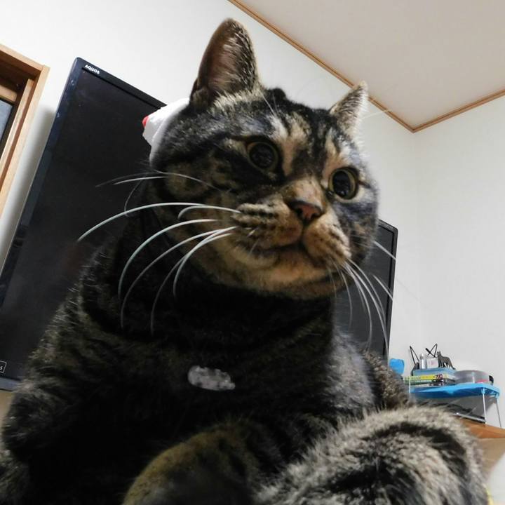 333b37e1 553a 421c 9c27 03037833df5f 1545396424287