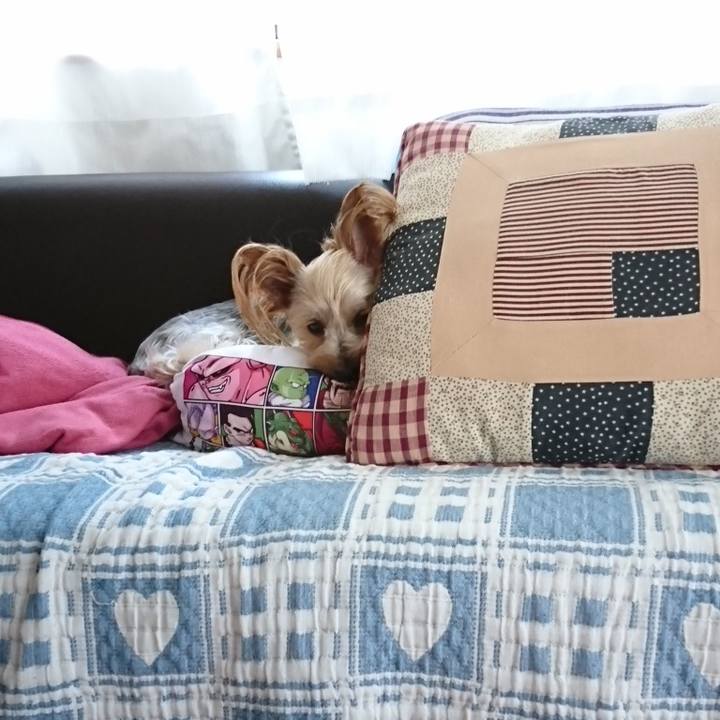 333b4160 c5a3 42e0 bba5 5c37f0be8fff 1532668209375