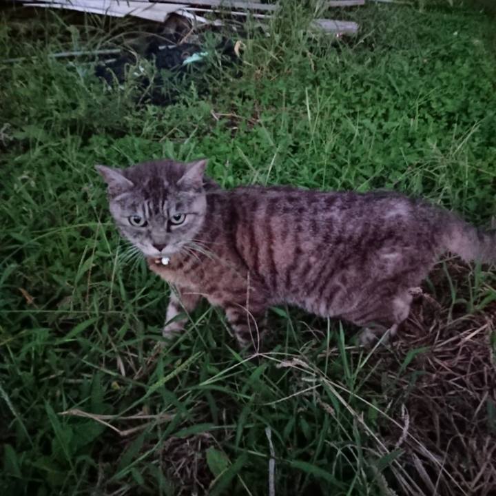 333b59b9 9fa8 4543 ac1e fddf9a360dff 1568540055643