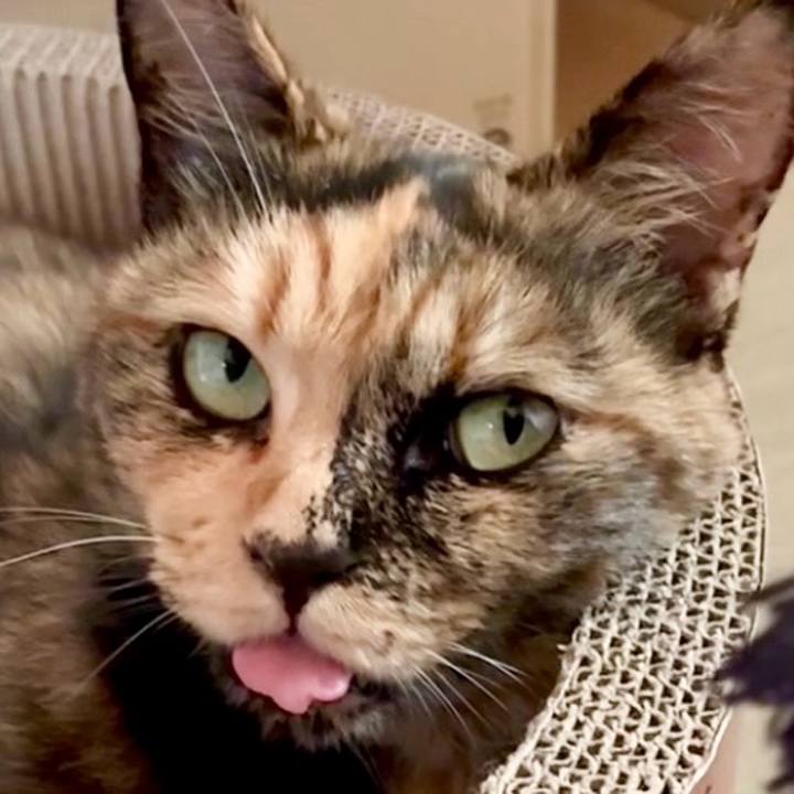 333b5da8 5576 47e4 af28 ba0f2c76c8e3 1751363957627