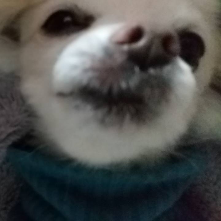 333b604f e742 4c6c a362 8f83adb55dfd 1579292718863