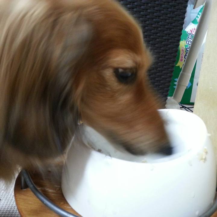 333b78f6 bab6 4cfc b247 d3e95cc9179d 1561383994167