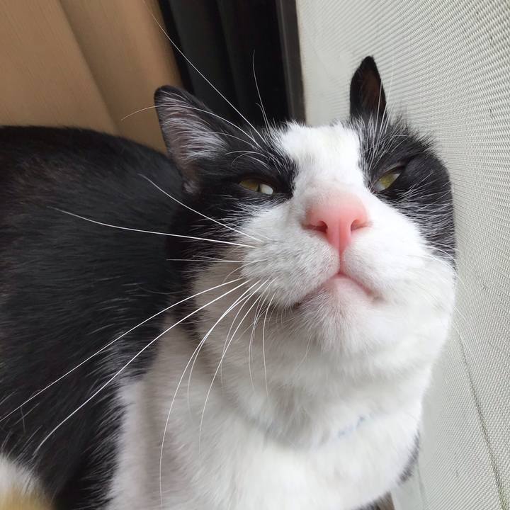 333b9e18 1942 4c33 833d 0c2f2487d0db 1750750172531