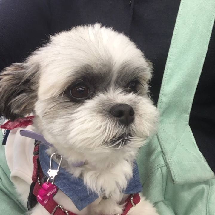 333bcdb1 66db 46b2 a0df 685eaaa7fdce 1529314866199