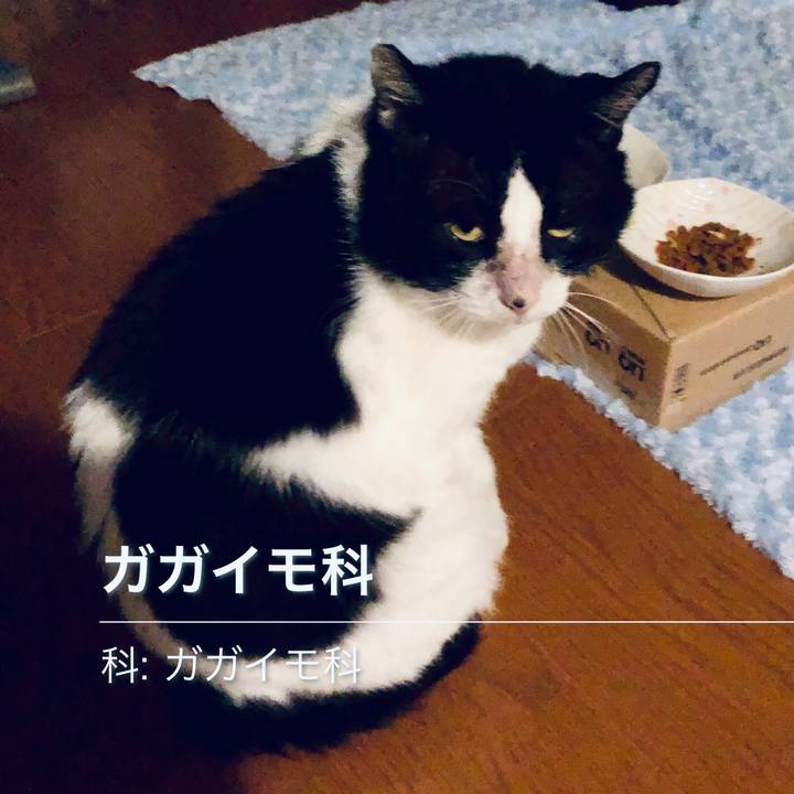 333c3d00 cec3 4a9c b259 5aad38b995a1 1618068988260