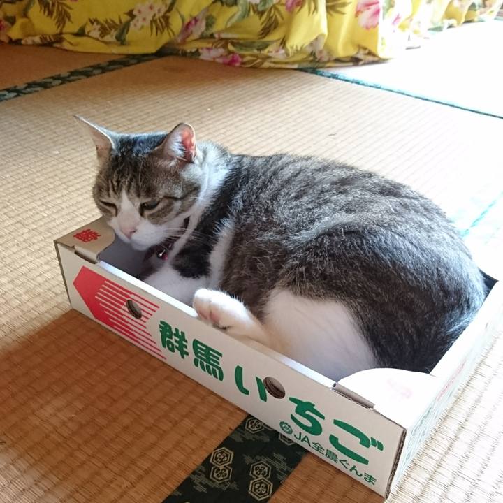 333c4381 c01a 474d bd15 044653343d91 1532907391854