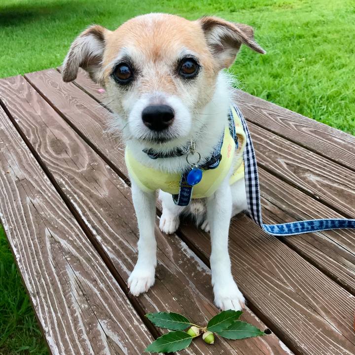 333c4a5f 0fd8 4cc5 9be3 be9b576cbb4b 1661767203810