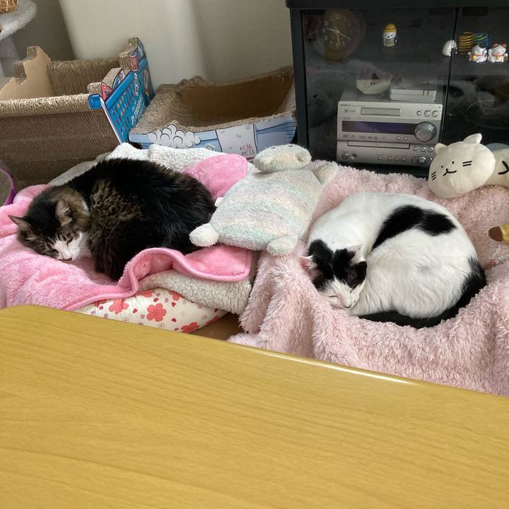 333c756e c8e3 48a4 8a8e 517afd549aa4 1760488105150