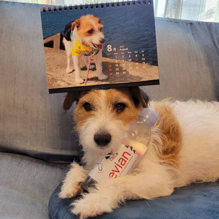 333c92aa 7b44 40e7 b9c6 d72a14b5121e 1659307990596