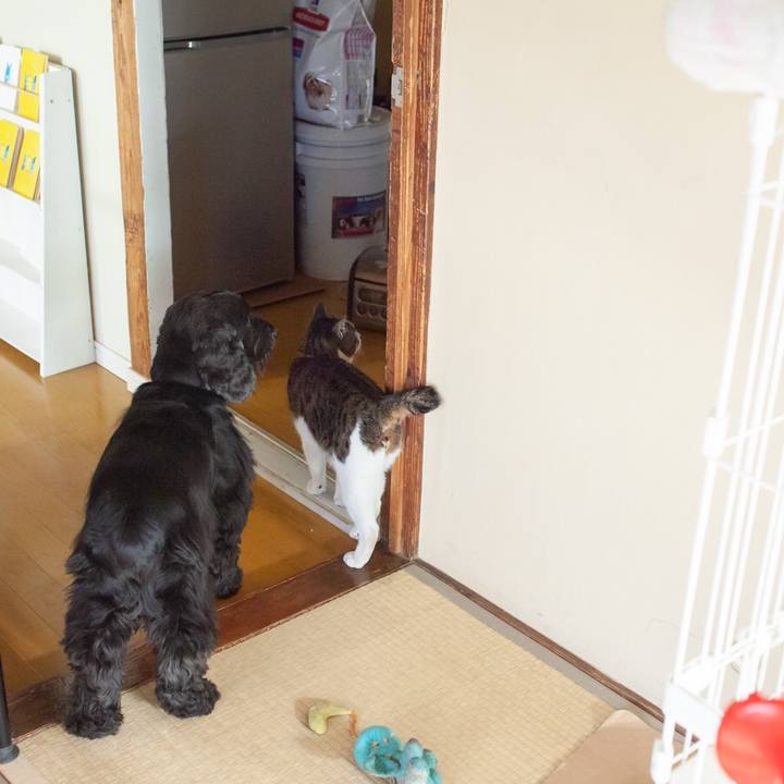 333d1374 e8ff 4d6d b15a 8397cb8e3bc8 1548591051096