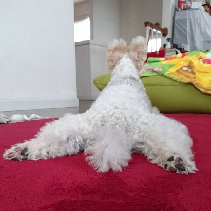 333d2bf2 1c16 4bea 93cf 0597edb3a9eb 1532576884937