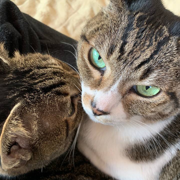 333d3423 8f24 4115 8c5f bd0c93d710c3 1580432083808