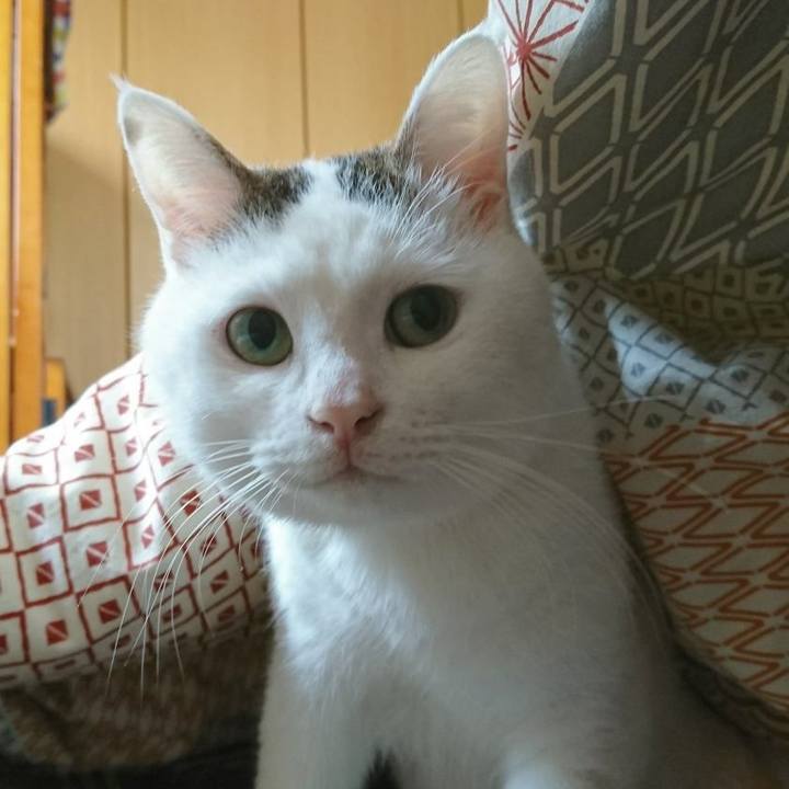 333d5332 8149 4417 97bc 2229eced1ba3 1509585727183