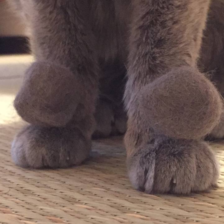 333d978a fc38 4eae 9140 54432f96e935 1563371632026