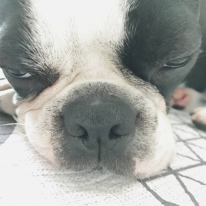 333dab30 cded 45ba 9341 b587823dbf7a 1523937429515