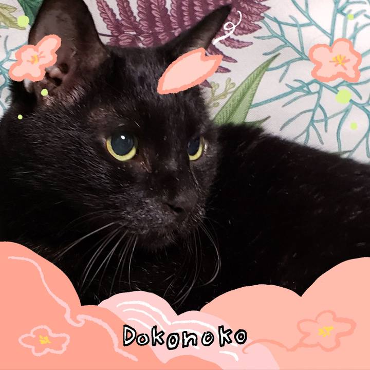 333dbce5 e4fd 49c5 9e00 003c9c94213d 1775866397787