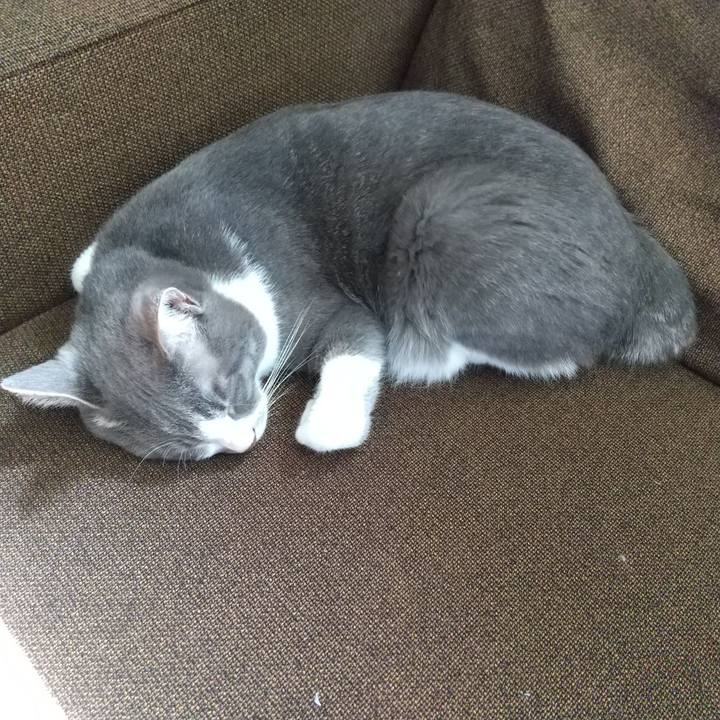 333dc889 c844 45a2 8a9c 8411211be2a0 1619395545213