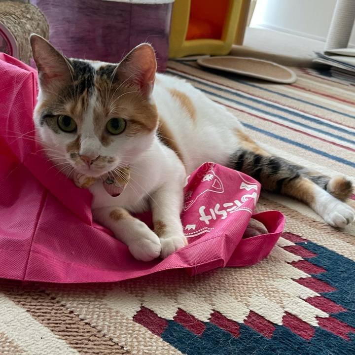 333e042d 23b6 466d b978 789db5059e1e 1632270052949