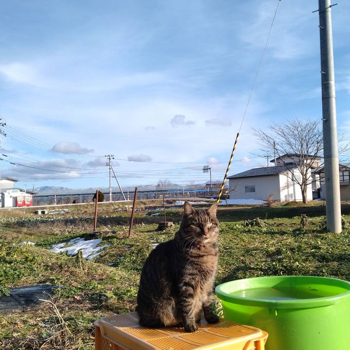 333e0e49 a9ae 424a 87cd 907c78348200 1703922153343