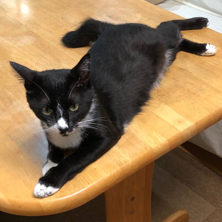 333e11b7 e5dd 4b42 9cb5 a72901e1fa5a 1531884879183