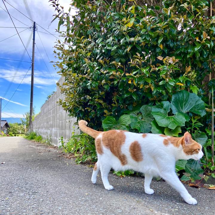 333e2cb4 61d2 4b07 a504 f74024b95fd1 1622876301448