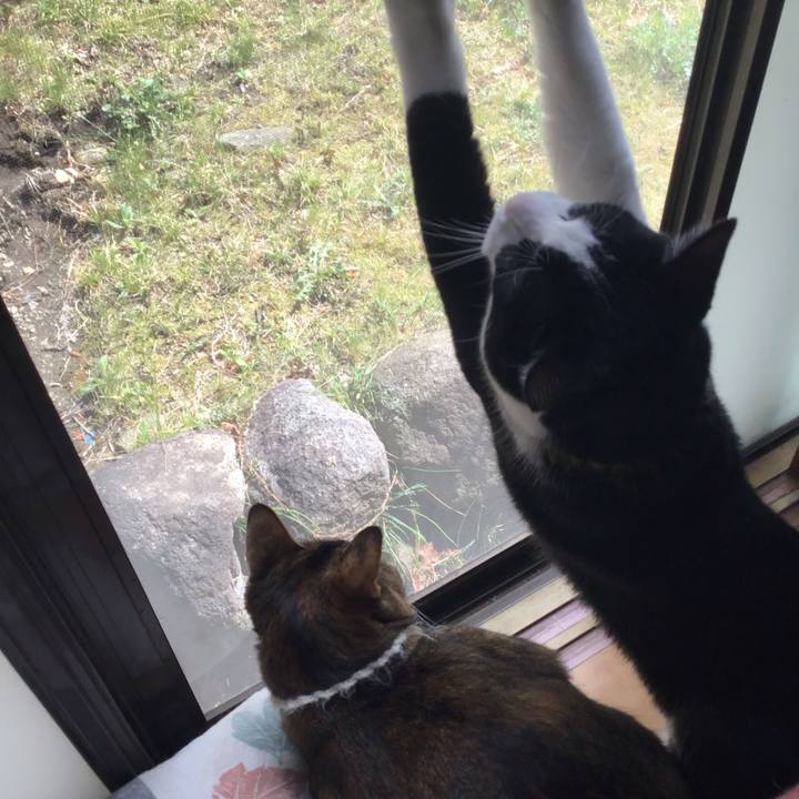 333e7502 48c3 45a0 b8bf 718d07cb627f 1648365912516