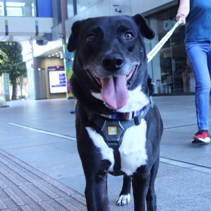 333e7ffd 544c 4a1e 8025 dd94fdd43201 1664672578086