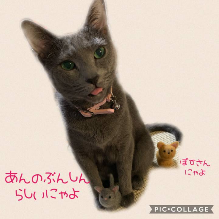 333f1025 728c 49f8 9f04 87cbd6075682 1571323901528