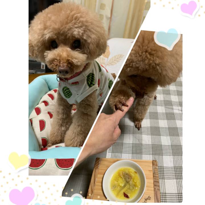 333f4847 9fea 418e 8e1e f91cee2e8db9 1559297573427