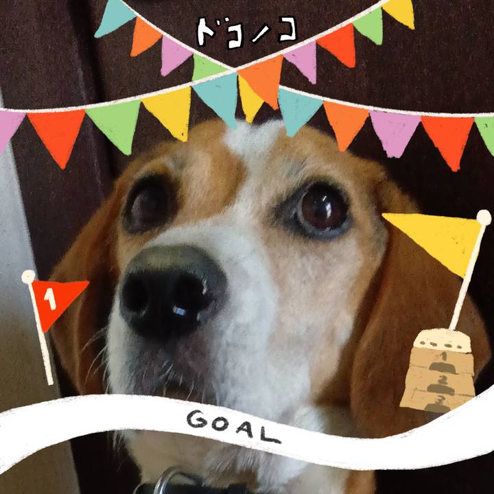 333f9149 ff8d 42fd a9ee 25fb3b897f1d 1729335704464