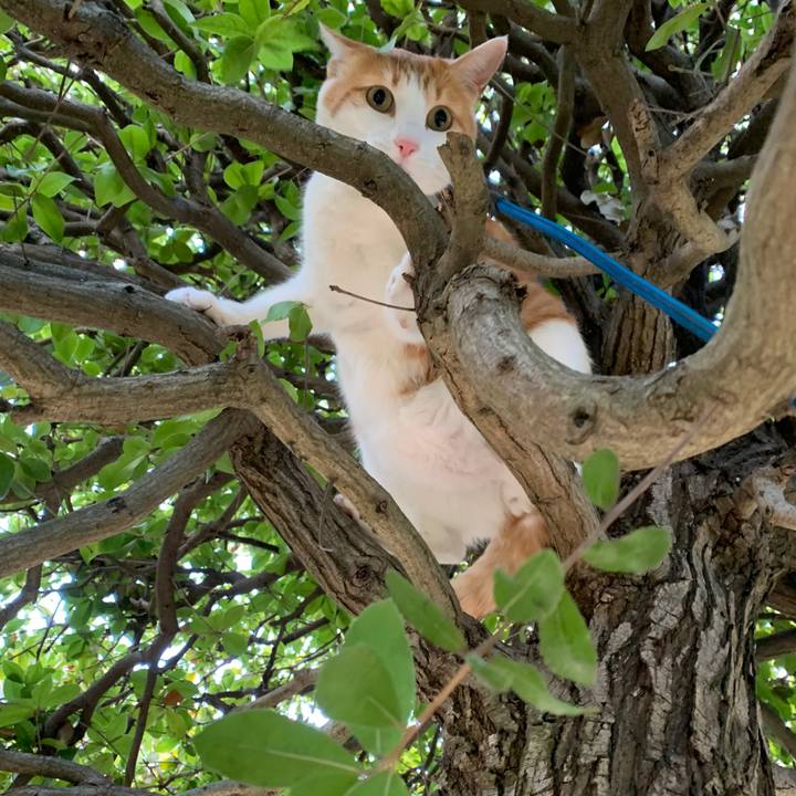 333f9ddb 3f26 406a a0a4 3e97254689b5 1578284070222