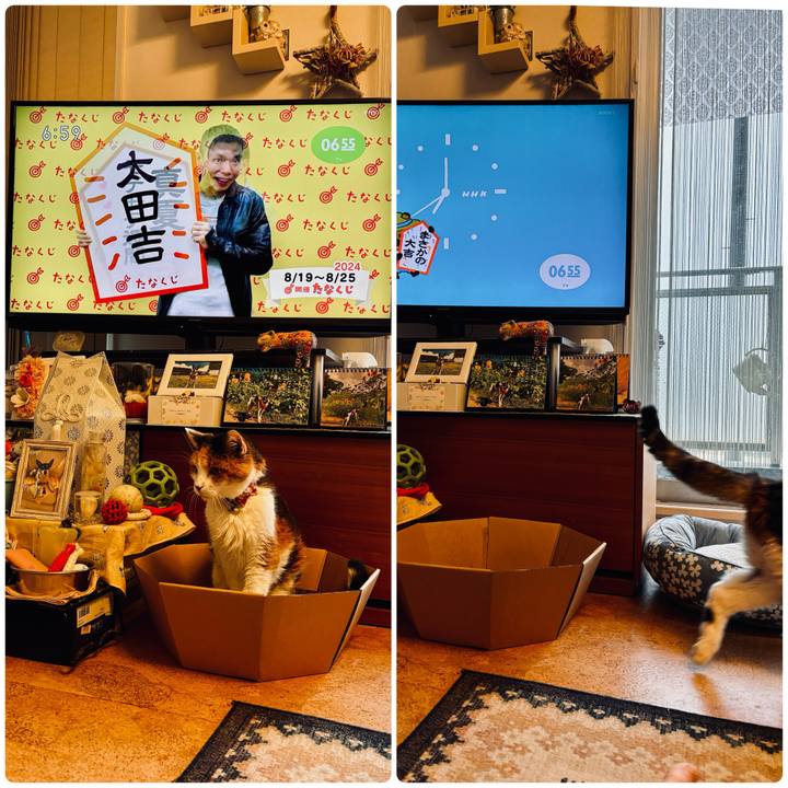 333fbd47 9ad7 4f9b 8266 2d46f3db4883 1724019506056