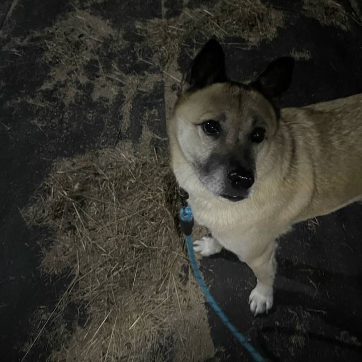 33400228 3891 41ca 862c aee66208e026 1702905074977