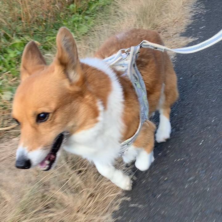 33401a61 1de0 460e 8379 371d57f7052c 1640670633107